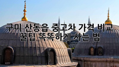 구미 산동읍 중고차 가격 비교 꿀팁🍯: 똑똑하게 사는 법!